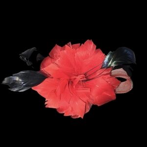 Feathered Hair Clip/Pin